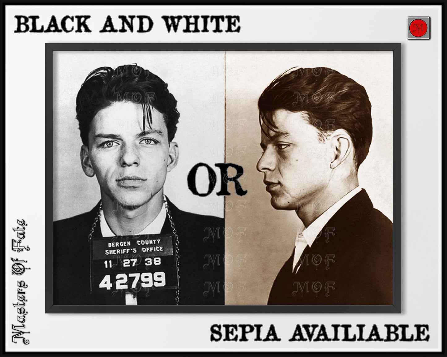 Frank Sinatra Mugshot Side Profile Poster REMASTERED #11 MUG