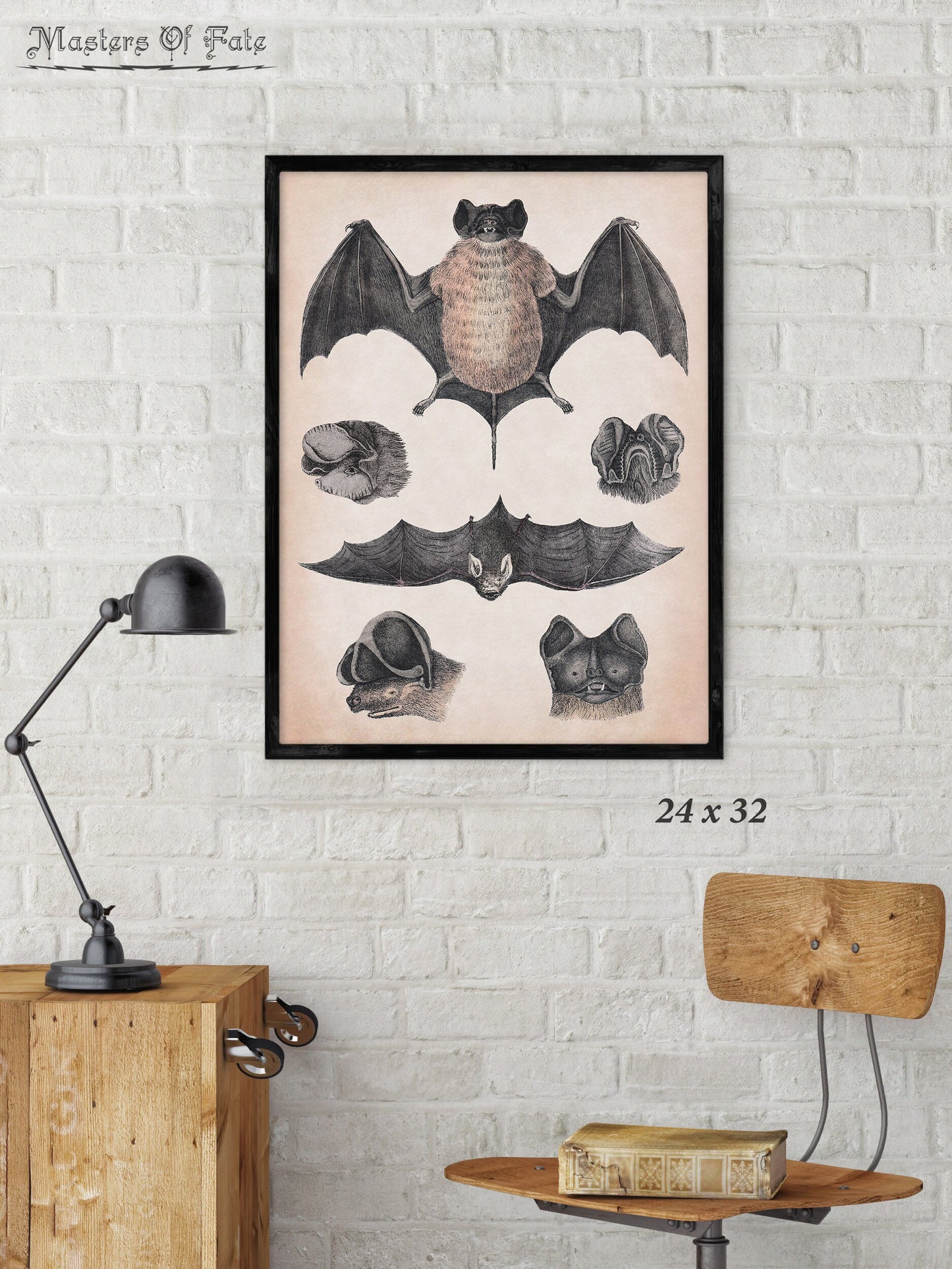 Bats Vintage Science Illustration Poster Print REMASTERED