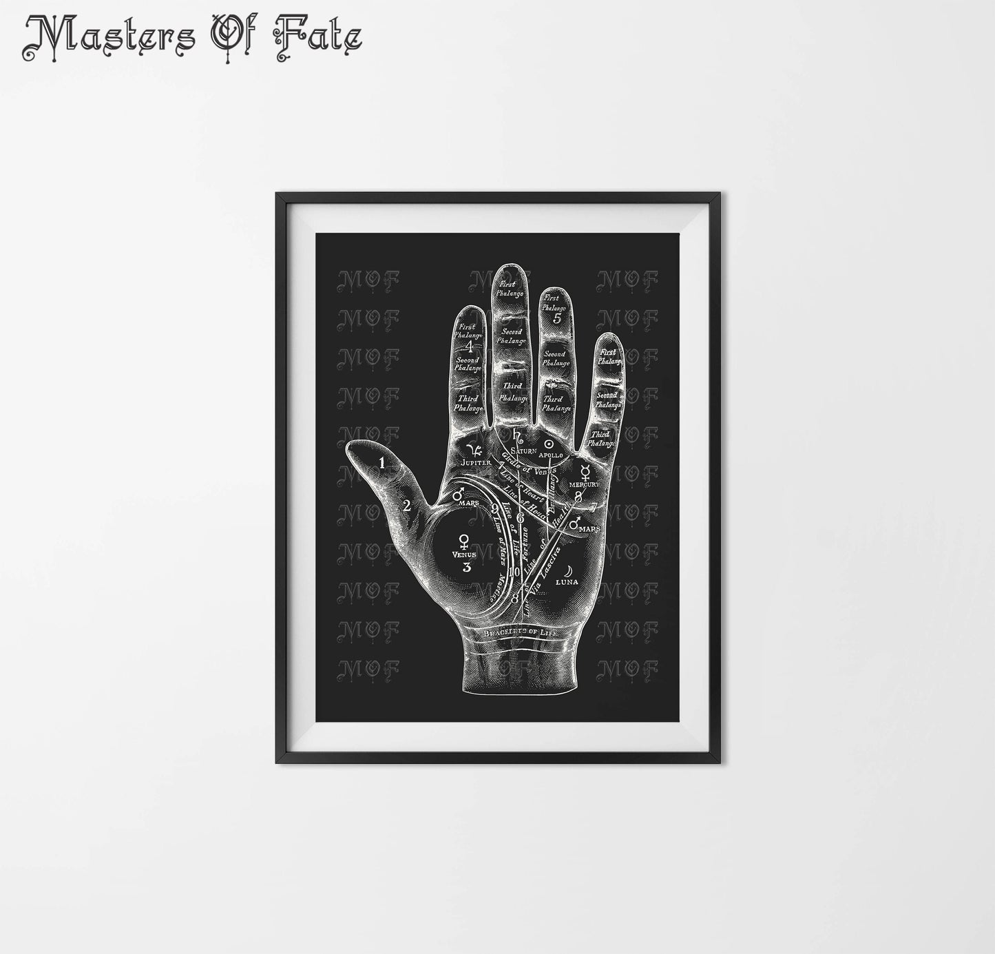 Palmistry Chart Vintage Scientific Anatomy Illustration REMASTERED