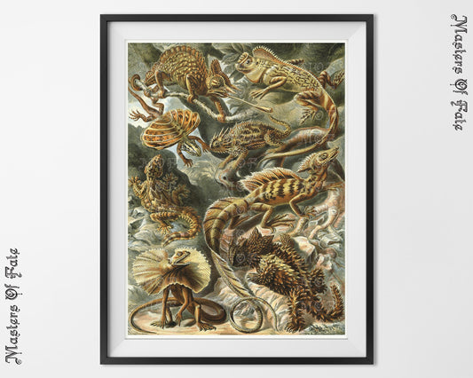 Ernst Haeckel Lizard Nature Illustration Reptiles Poster REMASTERED