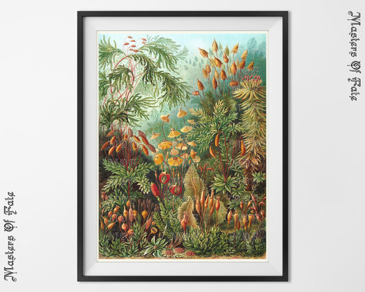 Ernst Haeckel Exotic Jungle Nature Illustration REMASTERED