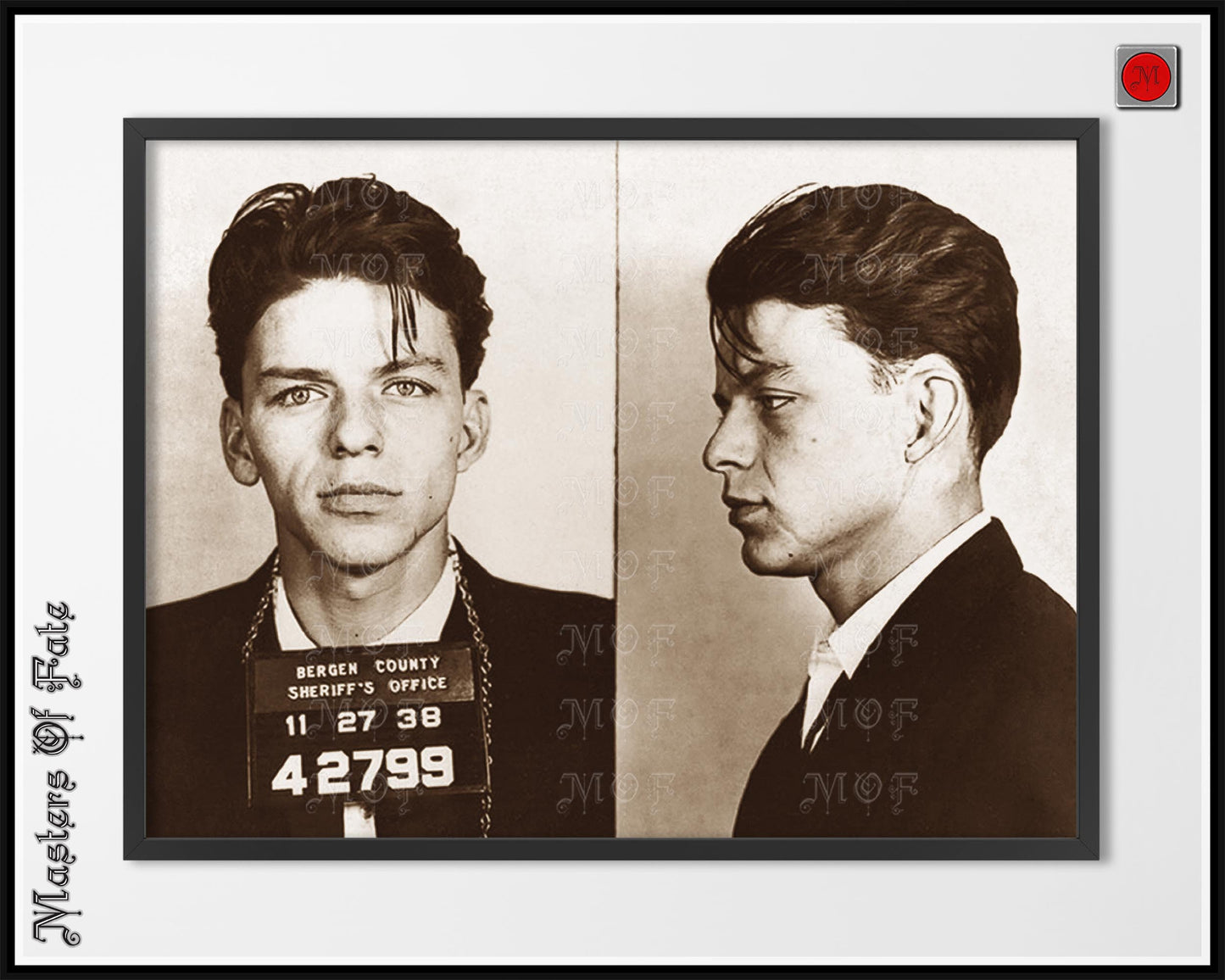 Frank Sinatra Mugshot Side Profile Poster REMASTERED #11 MUG