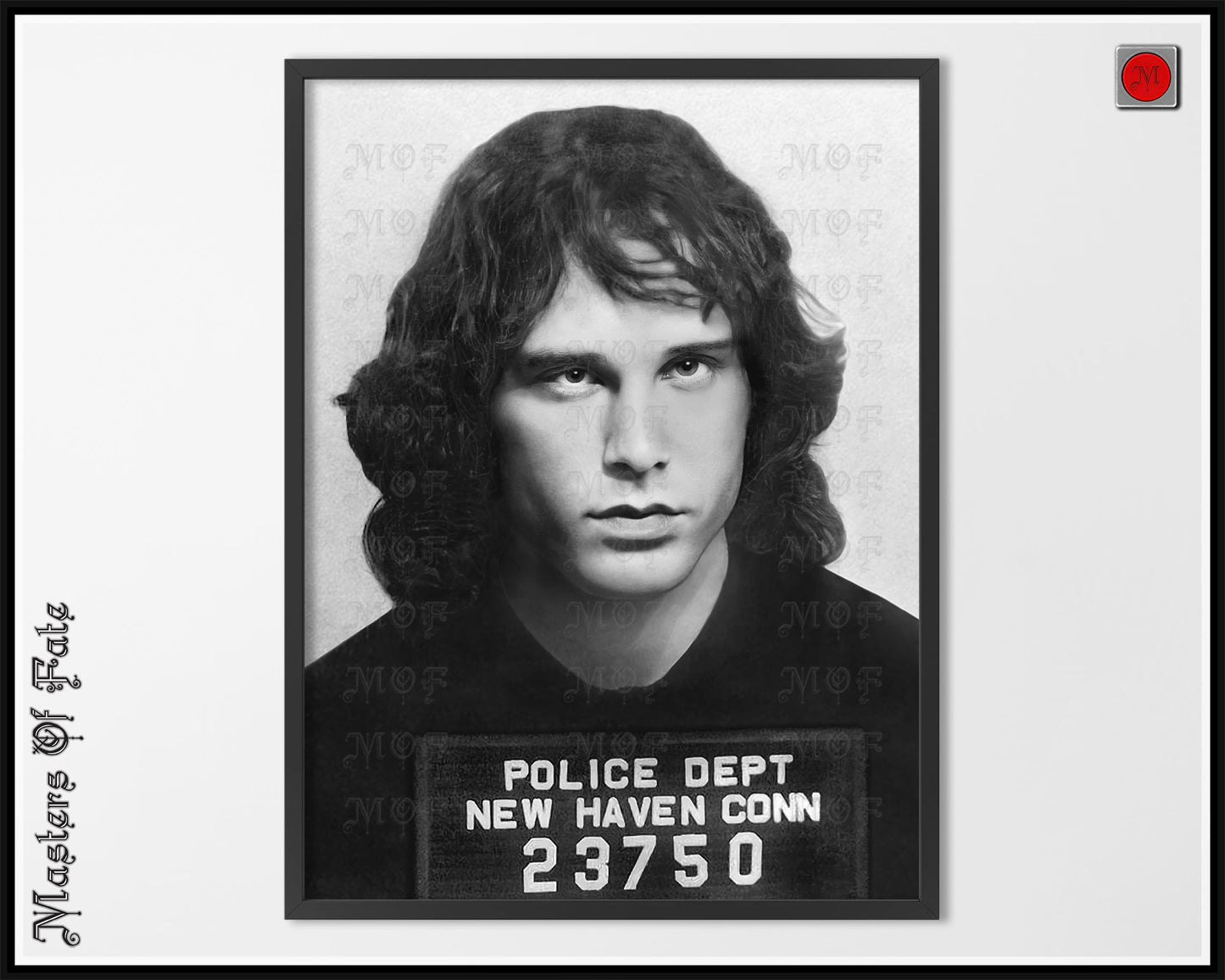 Jim Morrison Mugshot Poster The Doors REMASTERED #91 MUG