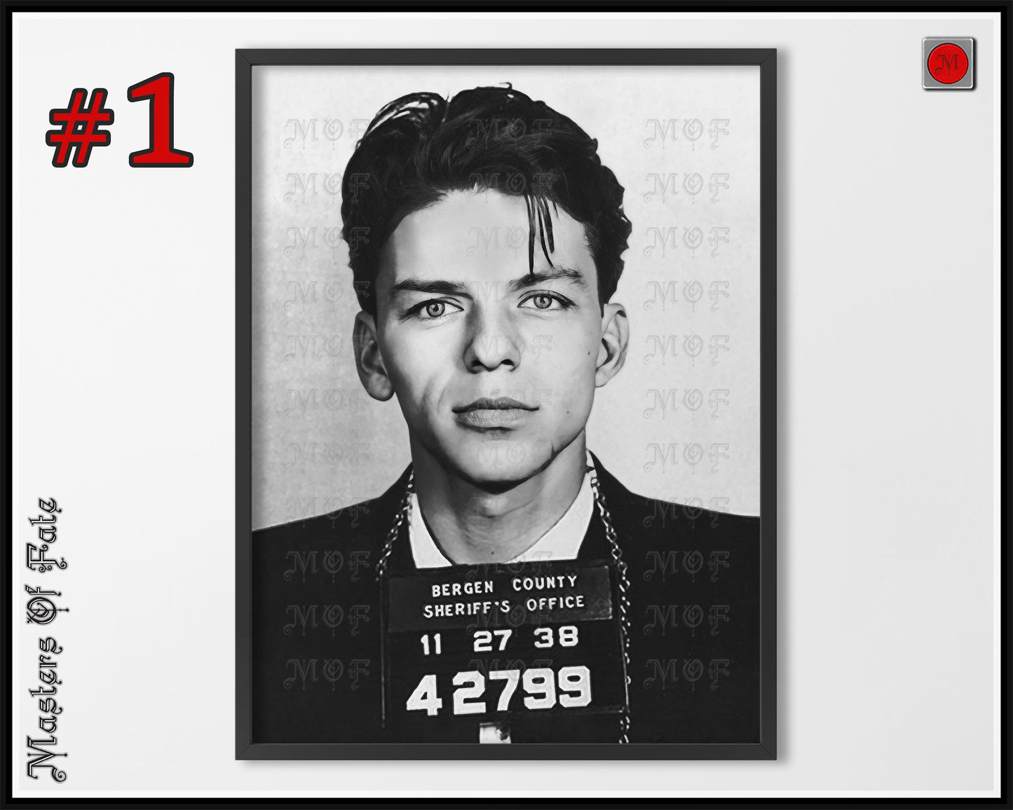 Frank Sinatra Mugshot Poster Celebrity REMASTERED #10 MUG