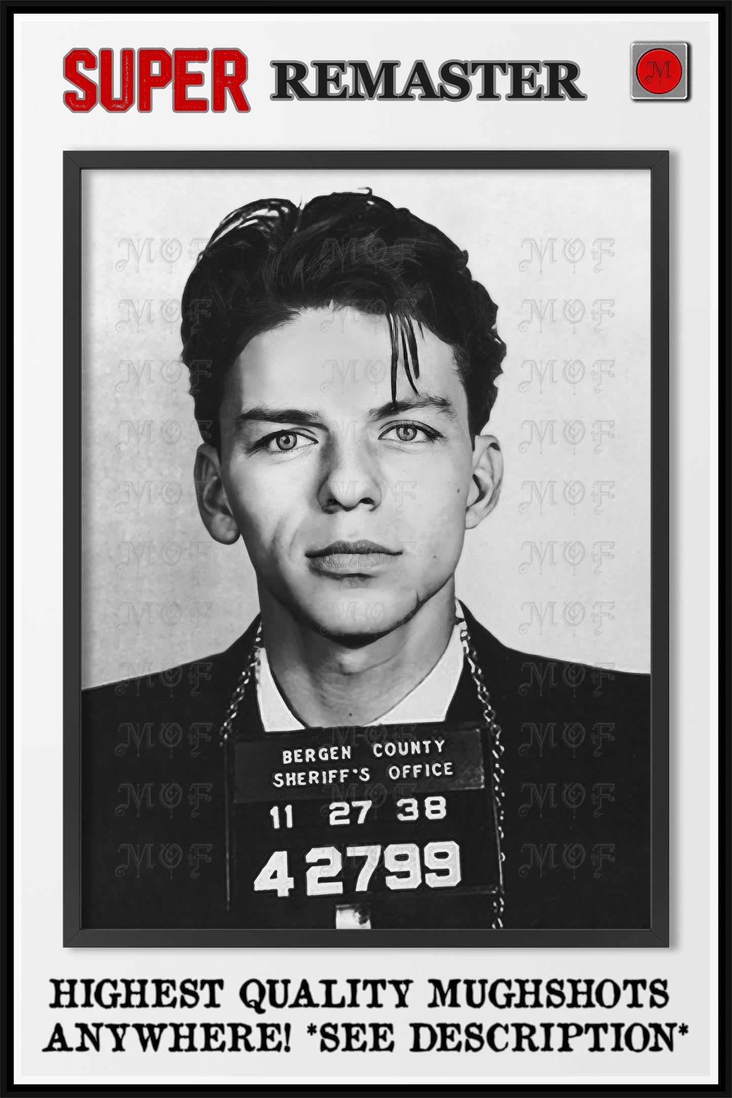 Frank Sinatra Mugshot Poster Celebrity REMASTERED #10 MUG