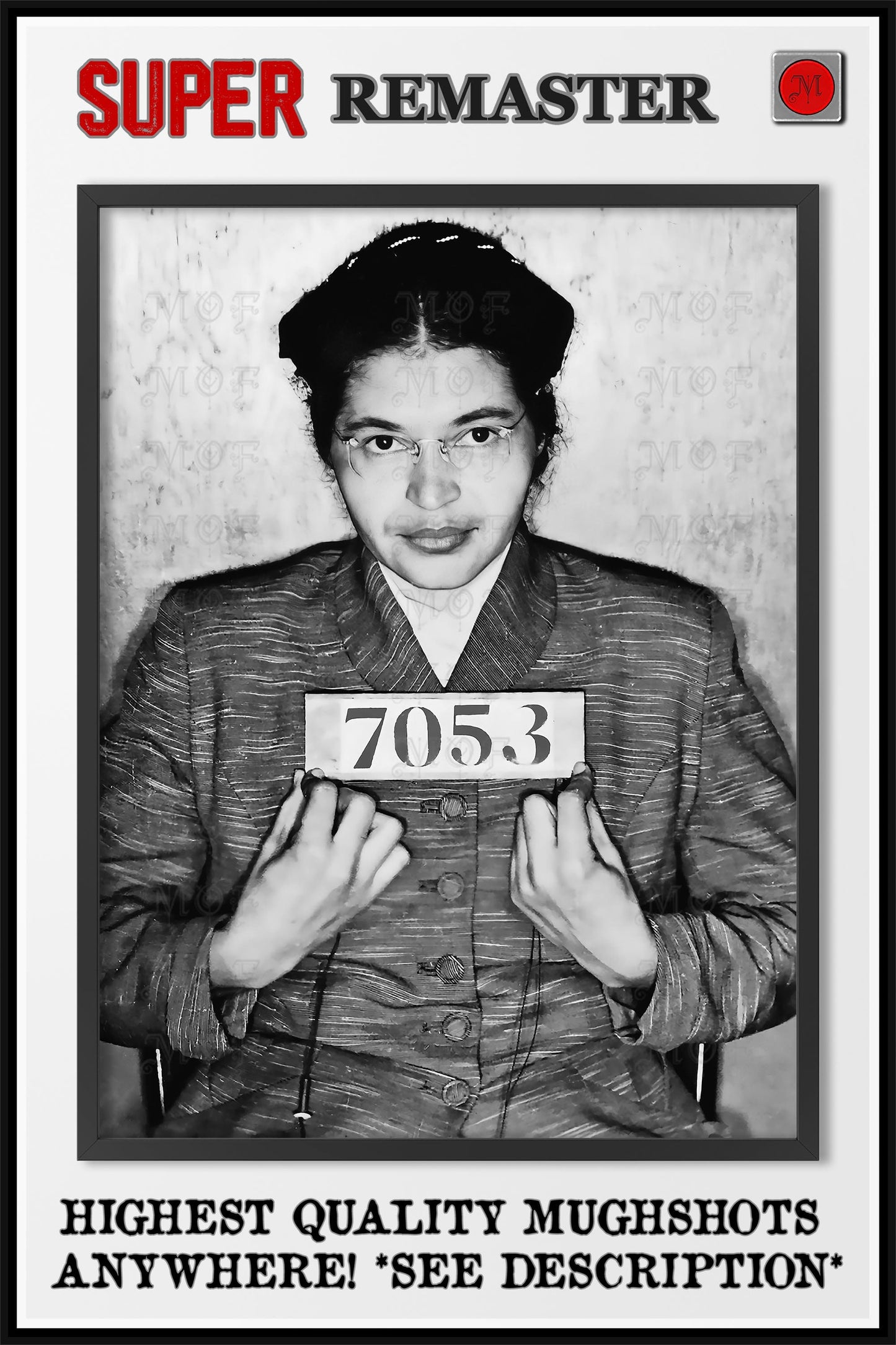 Rosa Parks Mugshot Poster Civil Rights Movement REMASTERED #35 MUG