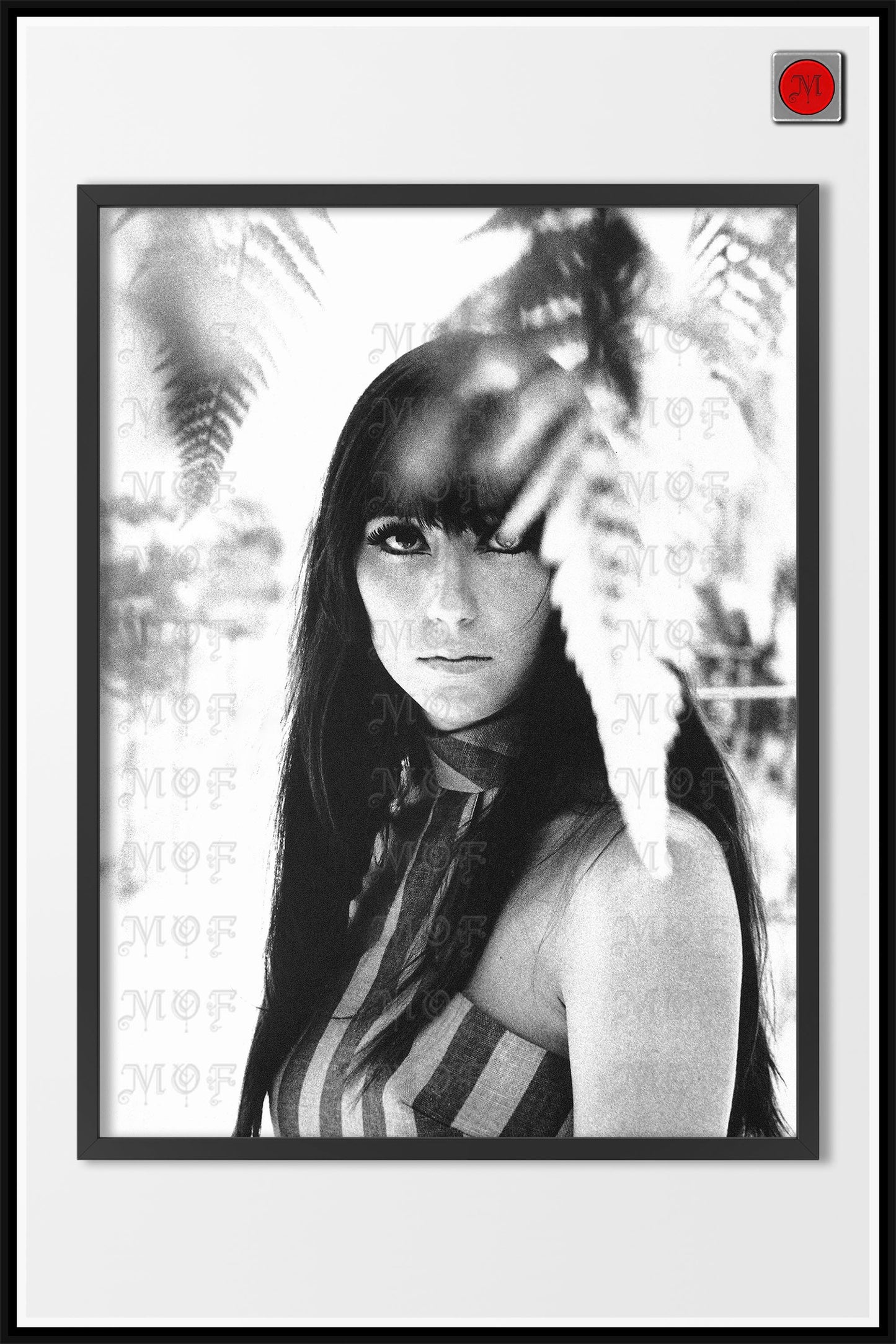 Cher Vintage Poster