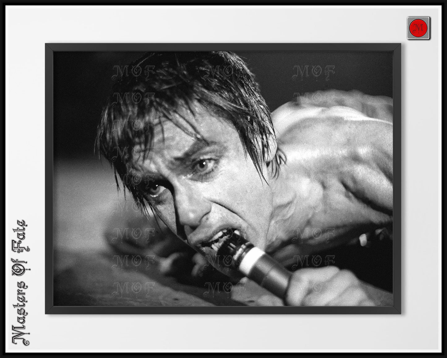 Iggy Pop Poster Photo Vintage Stooges Concert REMASTERED