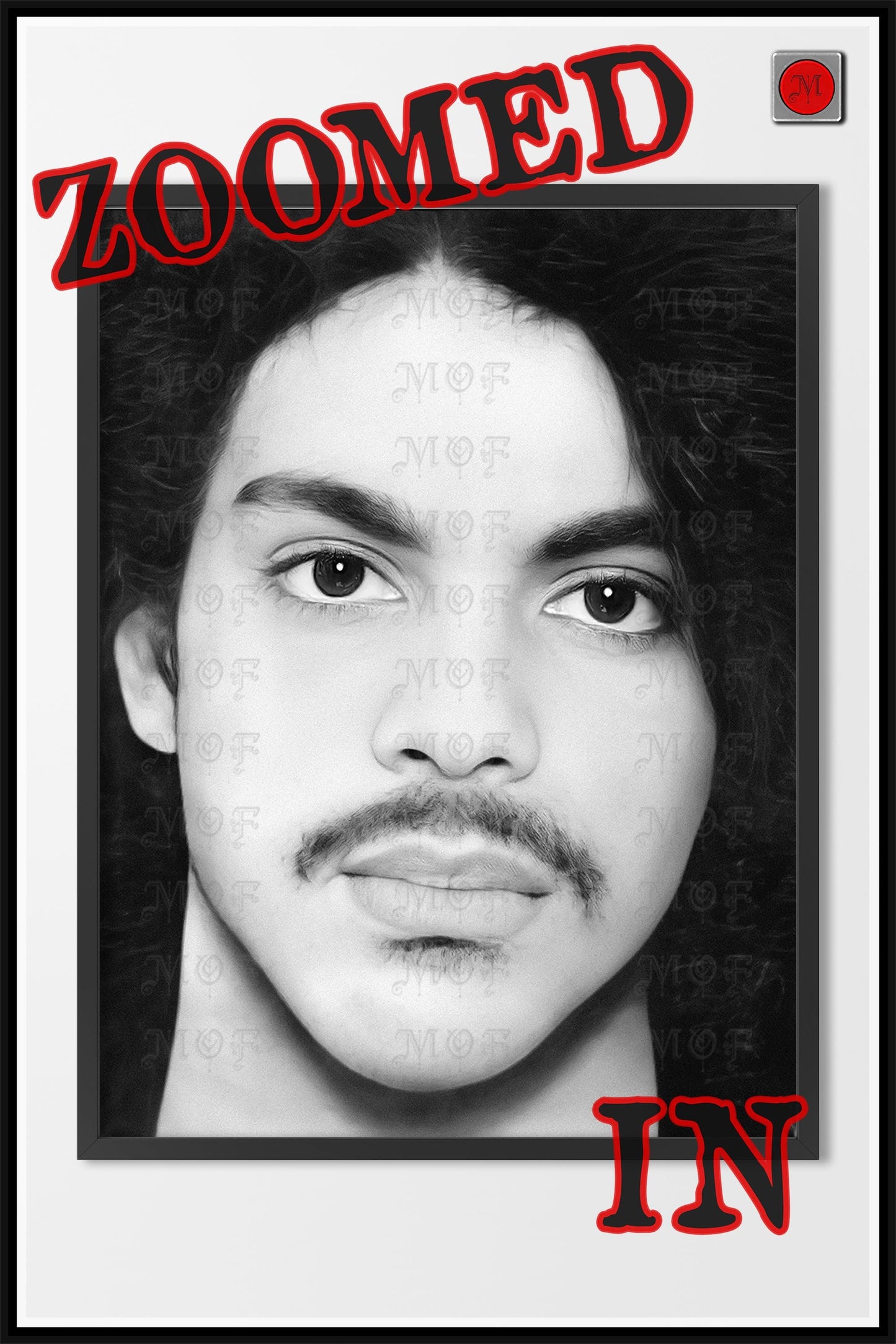 Prince Mugshot Poster Celebrity Photo REMASTERED #70 MUG